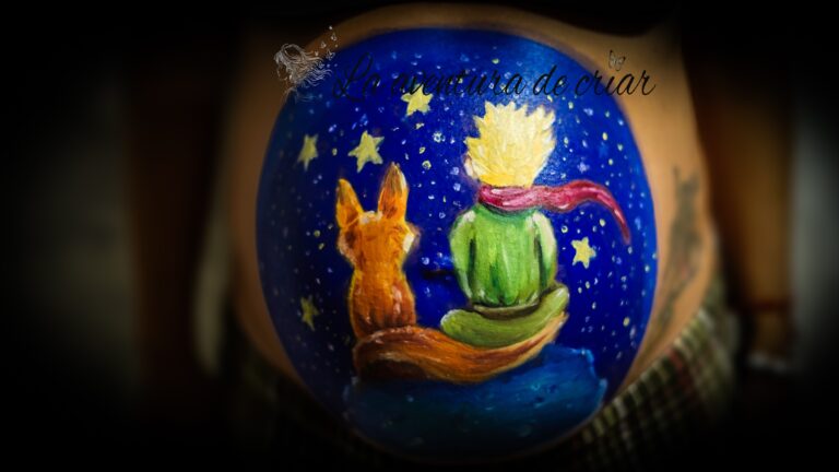 LA AVENTURA DEL EMBARAZO. LOS 3 TRIMESTRES.